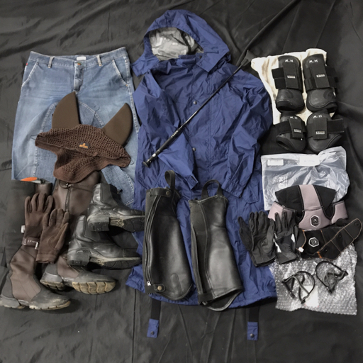 イアゴ 50082 サイズ IT 48 カポ フル ジーンズ デニムキュロット 乗馬 他 長鞭 手袋 等 乗馬関連用品